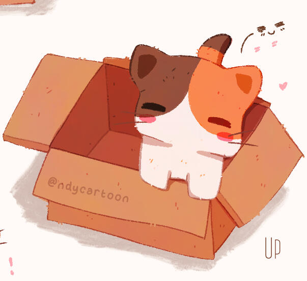 Cat in boxes